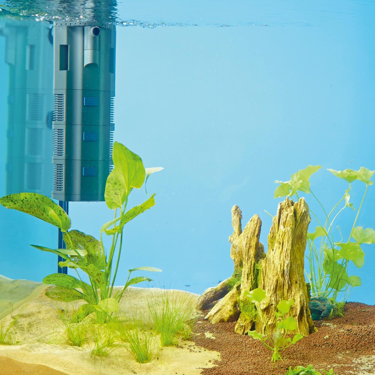 OASE Indoor Aquatics Bioplus Thermo 200, Black