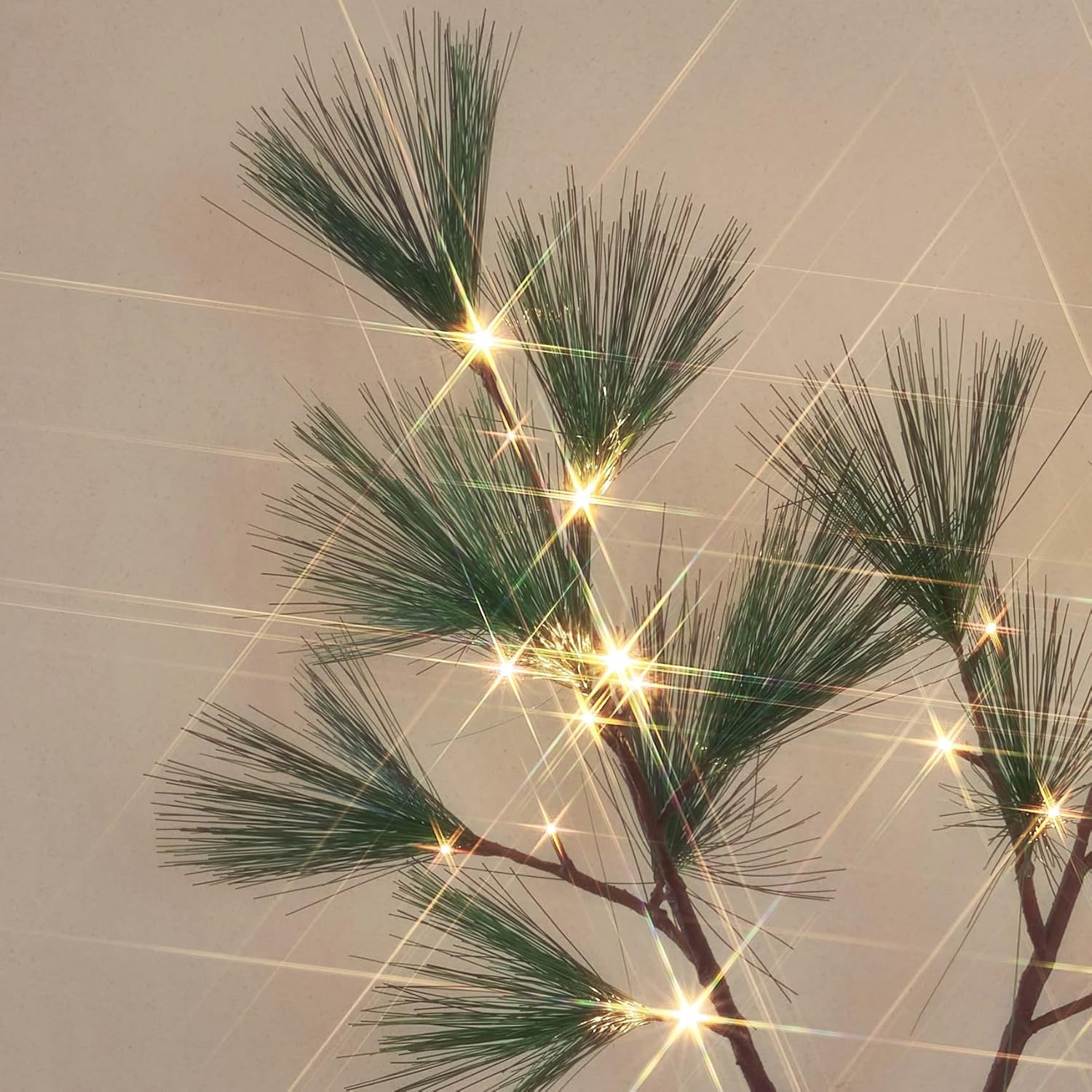 Hairui Lighted Christmas Pine Tree with Lights 4FT 36 Warm White LED Lights, Tree with Lights for Room Thanksgiving Christmas Holiday Decoration Indoor Outdoor