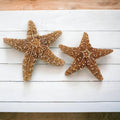 Tumbler Home Real Starfish Décor - 2pcs - 4" - 6" Large Starfish for Crafts, Beach House Décor, Christmas Ornaments & Nautical Decorations