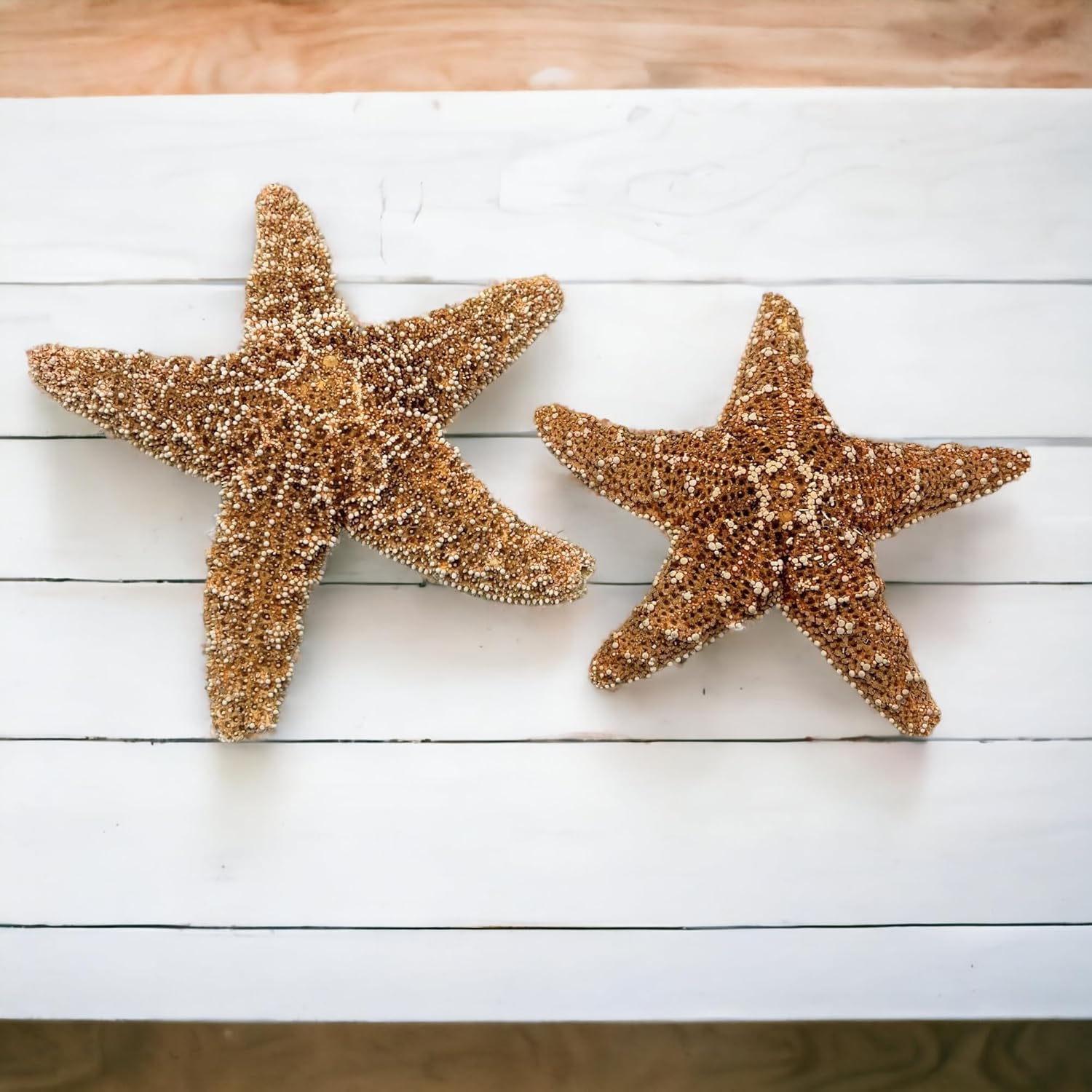 Tumbler Home Real Starfish Décor - 2pcs - 4" - 6" Large Starfish for Crafts, Beach House Décor, Christmas Ornaments & Nautical Decorations