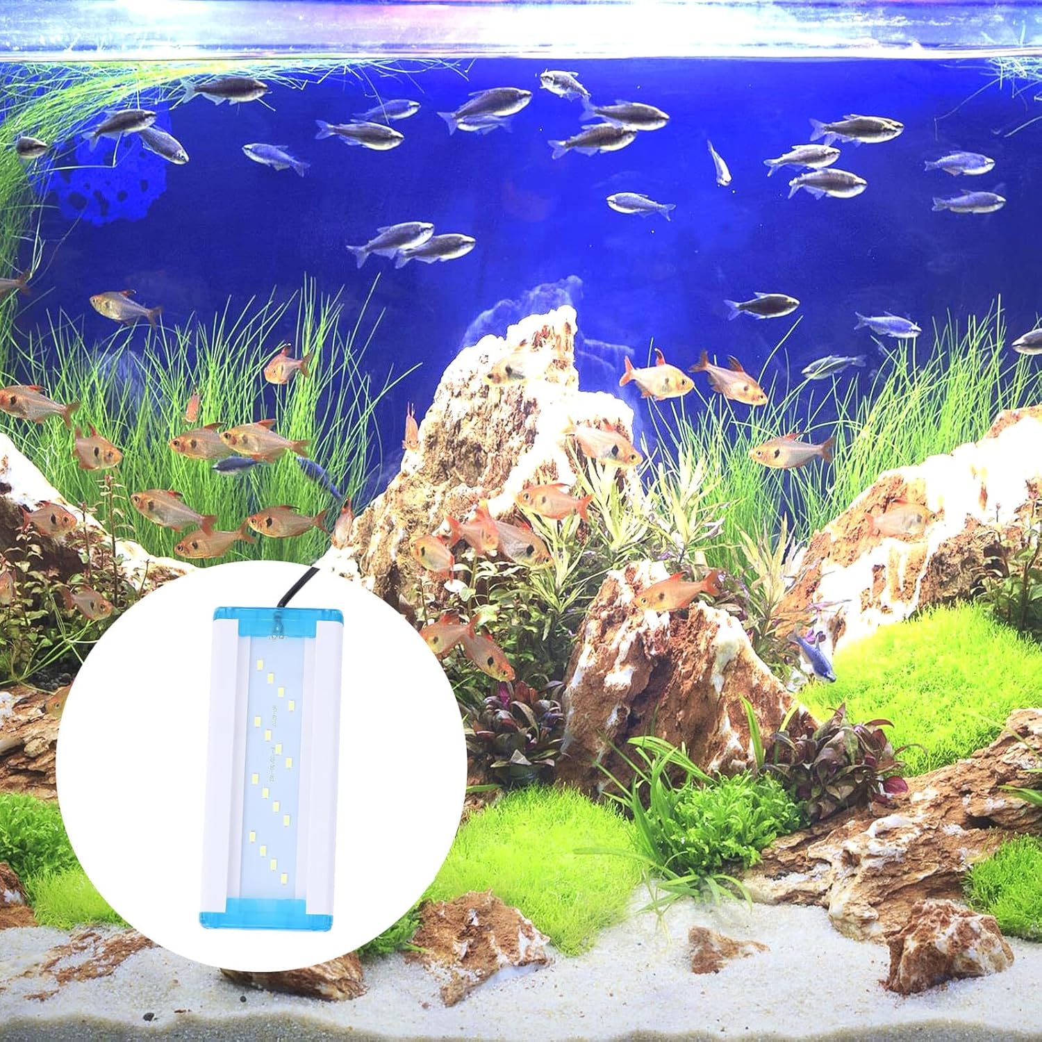 VANZACK Ultra-Thin Fish Tank LED Lamp with Pure White Light Aquarium Light with Metal Bracket Aquarium Frame Lamp for Aquatic Plant Growth Easy Installation and Heat Dissipation US Plug