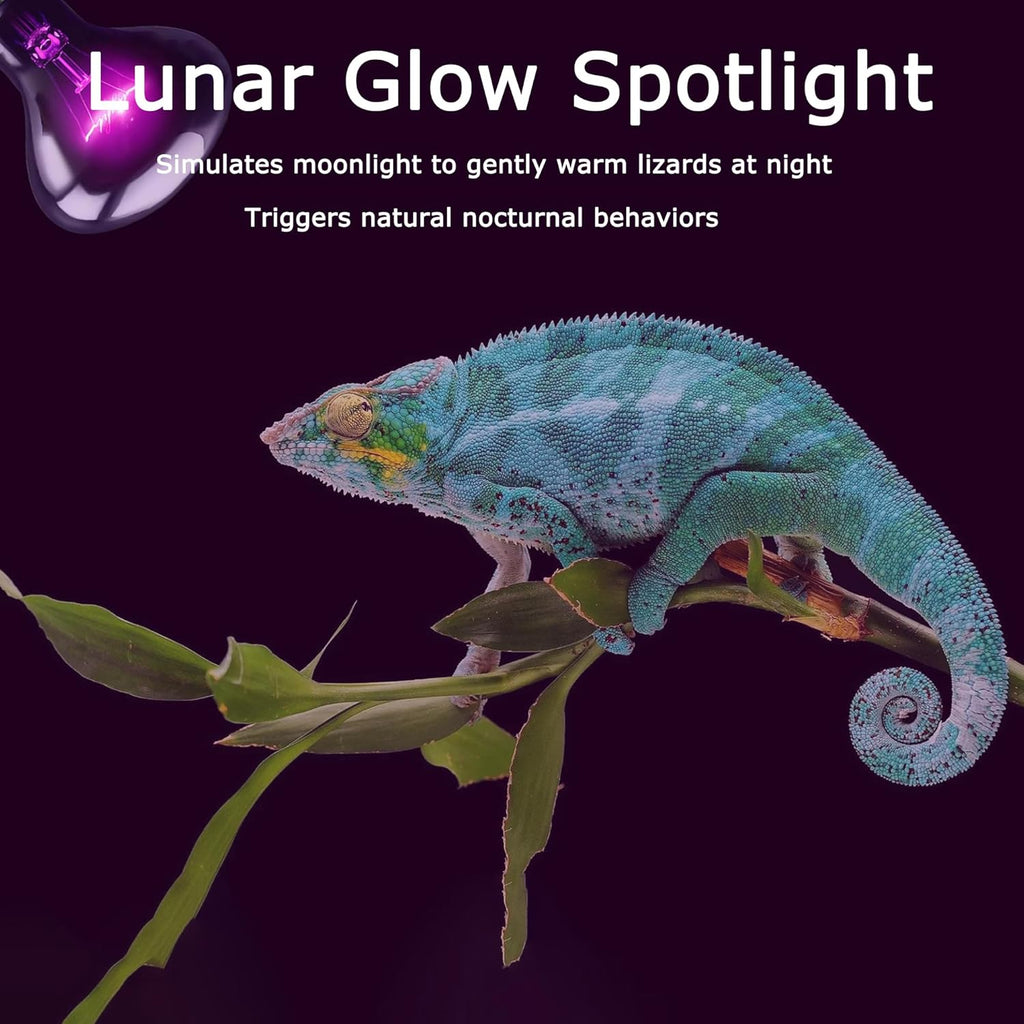 60W Reptile Night Light Bulb - Simulate Natural Moonlight for Bearded Dragons, Lizards, Snakes, and Amphibians - UVA Basking Lamp for Aquariums & Tanks, Enhance Health and Activity