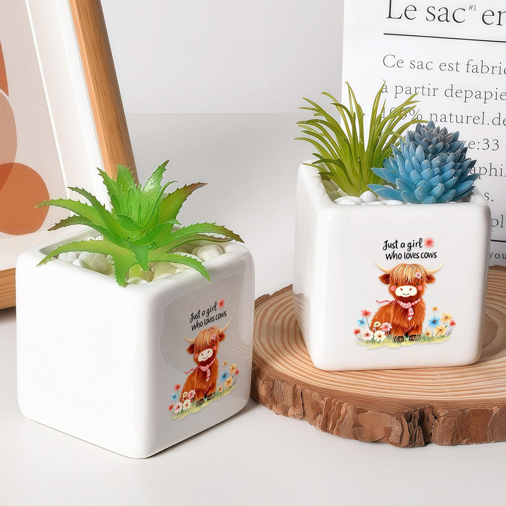 Highland Cow Succulent Planter Flower Plant Pot Small, Gifts for Women Teens Girls Kids, Cow Lovers Themed Stuff Accessories Things Decor Merch, Home Office Table Desk Decoration!