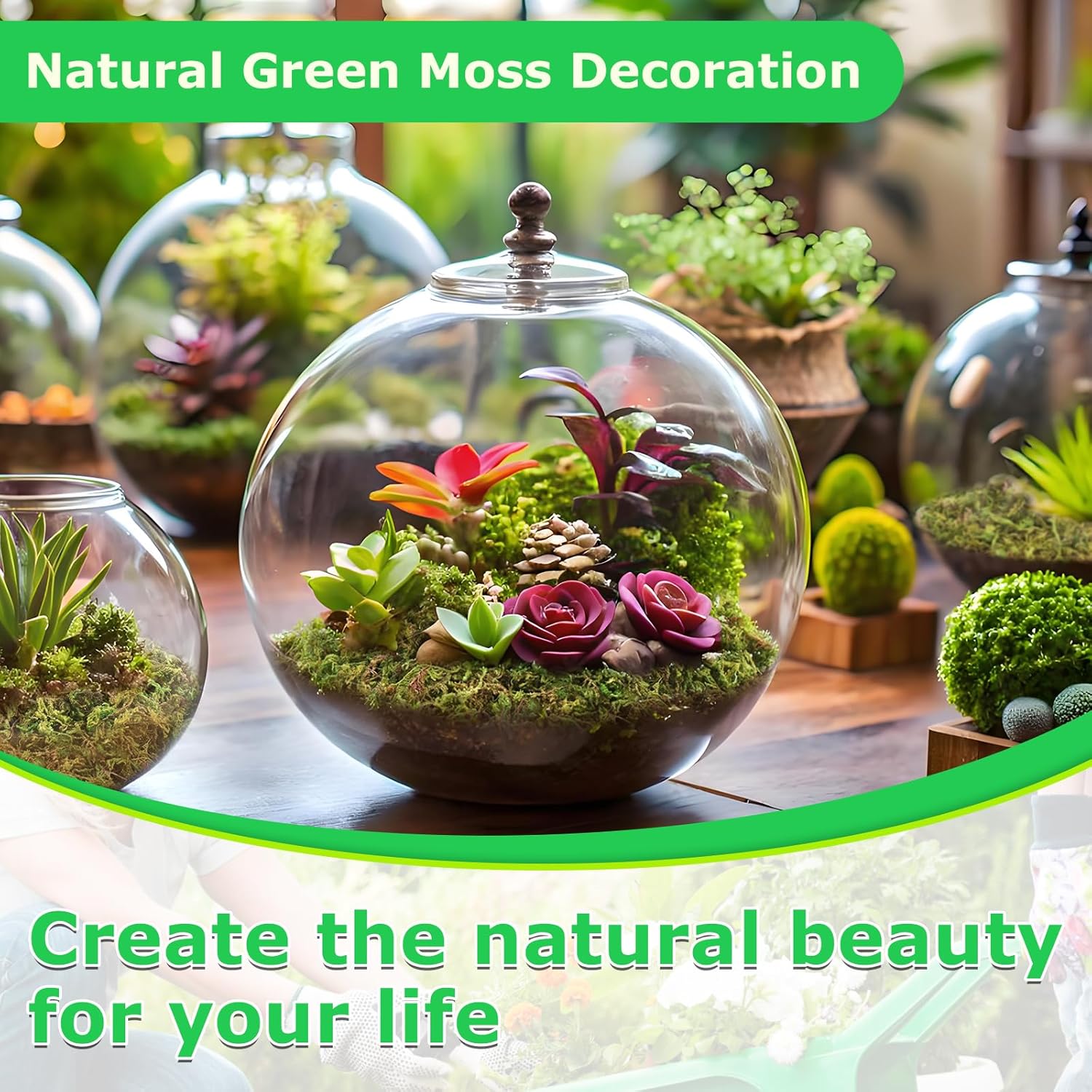 Legigo 2.6 LBS Green Moss for Crafts, Real Forest Moss for Plants Indoor, Table Decorative Centerpieces, Artificial Fairy Garden, Wedding Party Decor, Fake Potted Plants and DIY Craft Projects