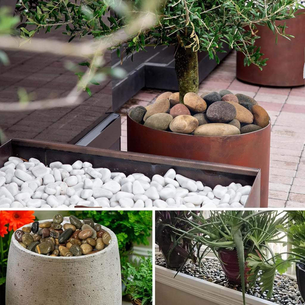 White River Rocks 40lbs, 2-3 Inch Natural Unpolished Bulk Pebbles, Hand-Picked Premium Stones for Landscaping and Garden Design Fish Tank, Flower Pots, Pathways and Backyard