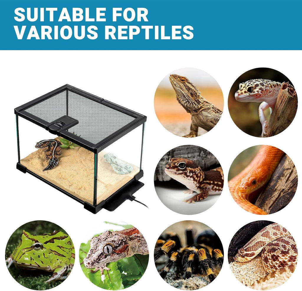 Reptile Heat Pad with Dimming Thermostat, 6" X 8" 8W Heating Pad Combo Set for 10-20 Gallon Reptile Tank, Under Tank Heater for Reptiles, Turtle, Snake, Lizard, Hermit Crab, Frogs, Seed