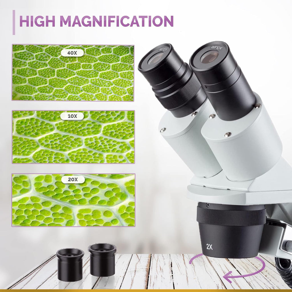 AmScope 20X-40X Student Stereo Microscope w/Premium 9pc 3D Insect Specimen Kit and Optional Digital Camera