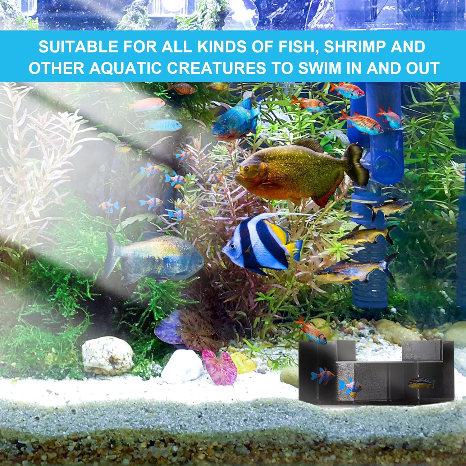 Nuanchu 2 Pcs 5.91" Aquarium Underground Tunnel Large ABS Plastic Fish Shrimp Hideout for Aquariums Black Shrimp Cave Fish Tank Tunnel for Fish Tank Accessories
