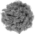 uxcell Preserved Reindeer Moss, 17.6oz Fake Moss for Crafts Artificial Dried Moss for Decoration Terrariums Potted Plants, Gray