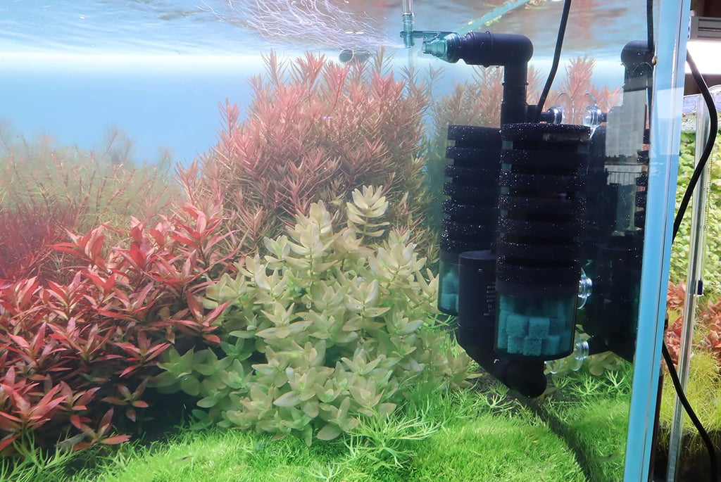Aquarium Sponge Filter Bubbler with Ultra Quiet Water Pump and Ceramic Balls for Fish Shrimp Breeding Tank (Filter M(15-50 Gallon))