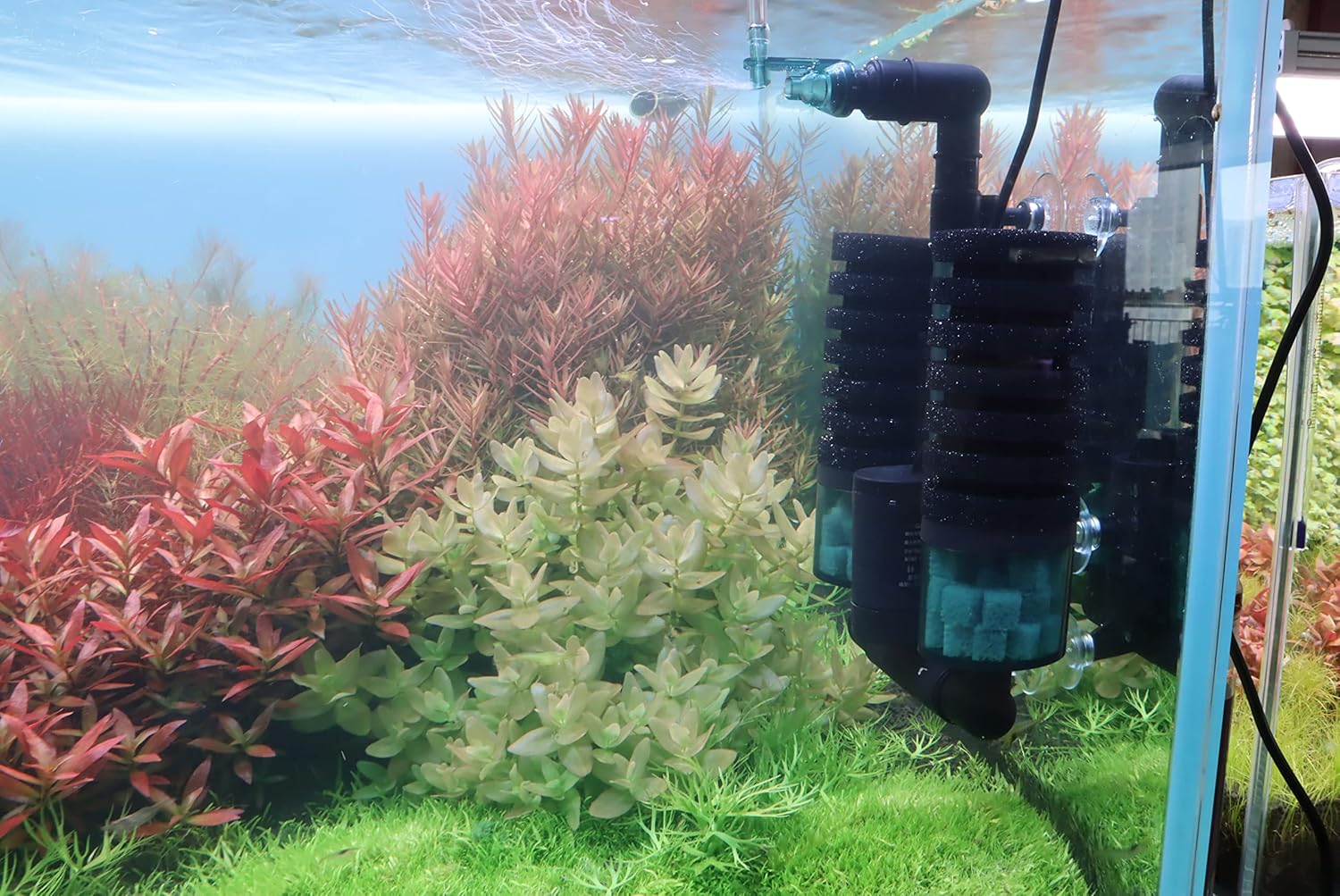 Aquarium Sponge Filter Bubbler with Ultra Quiet Water Pump and Ceramic Balls for Fish Shrimp Breeding Tank (Filter M(15-50 Gallon))