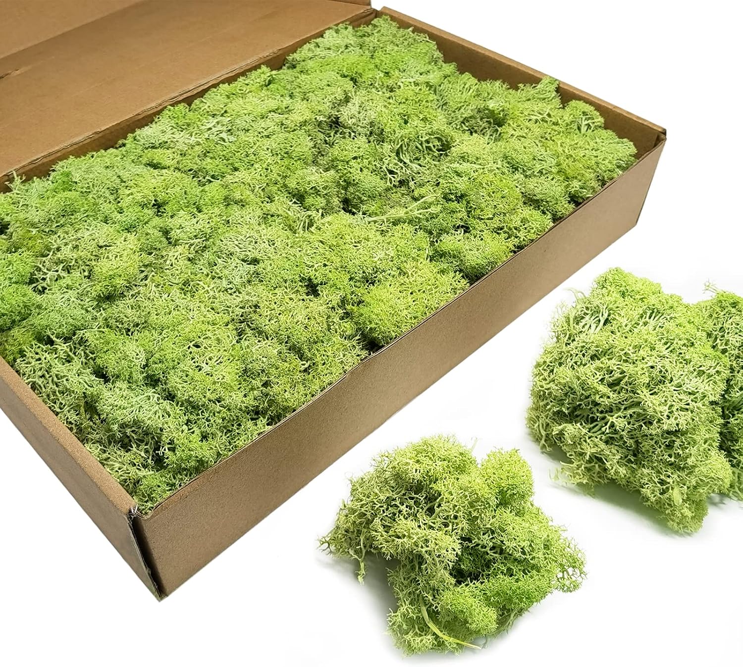 TurelinnG Preserved Moss 3 OZ Reindeer Craft Moss, Fake Moss Suitable for Crafts, Flowerbeds, Home Office Artistic Decoration Green