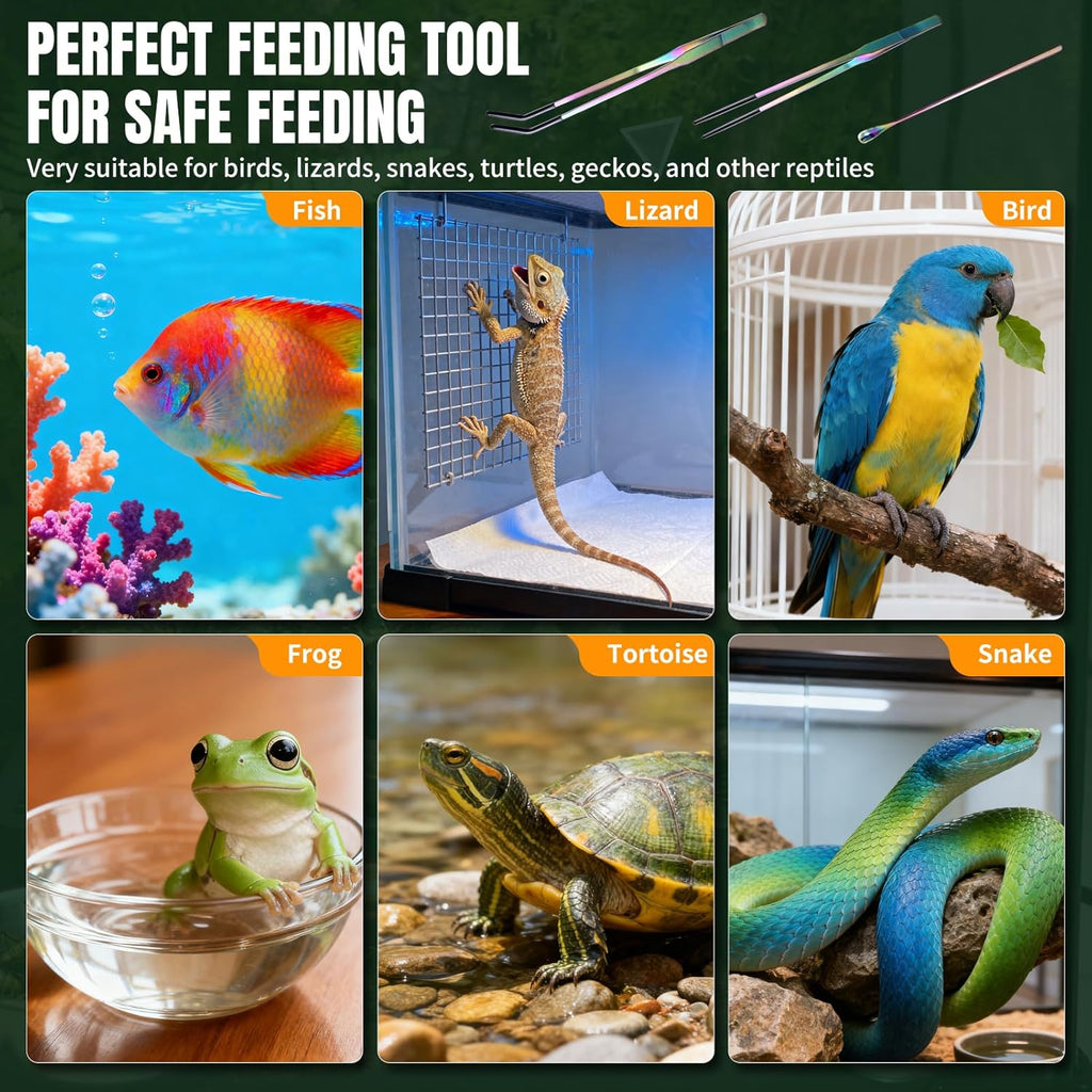 3 Pack Stainless Steel Reptile Feeding Tongs with Rubber Tip and Spoon, 10.6" Straight & Curved Tweezers for Aquariums & Crafts, Feeder Tools for Bearded Dragons & Lizards, Terrarium Tank Supplies