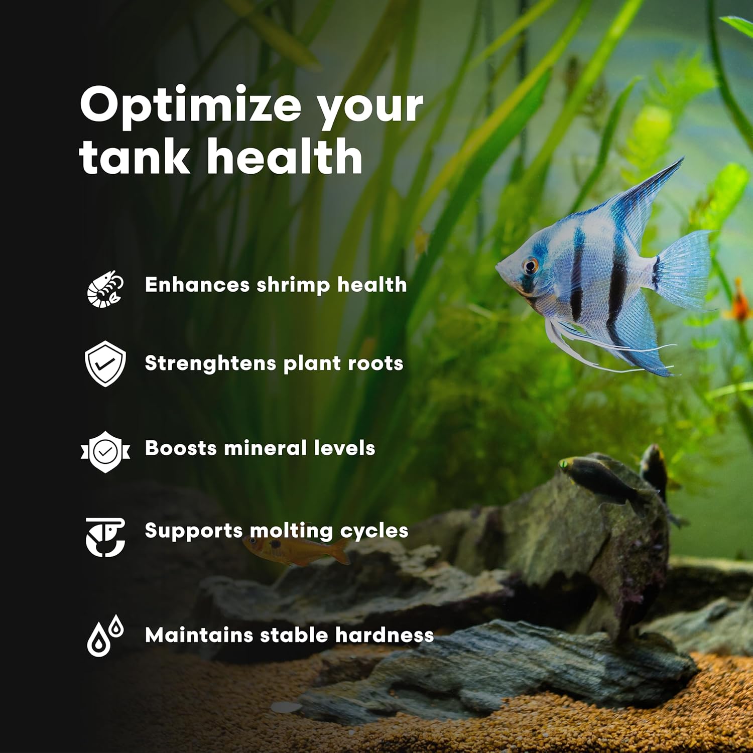 Brightwell Aquatics NeoTiger KH+/GH+ Mineral Supplement Balances Hardness in RO/DI Water with Calcium Magnesium Potassium Sodium for Shrimp Fish Planted Aquariums, 500 ml