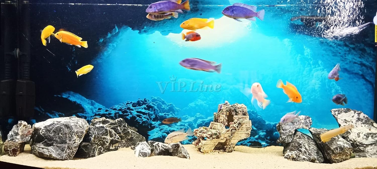Aquarium Background Poster Under Water Cave Sunlight Fish Tank Backdrop Decorations PVC Fish Tank Background (24" x 12"/ 61 x 30cm)