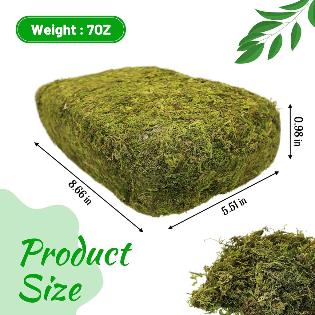 Riare 7OZ Artificial Fake Moss for Fake Plants Indoor- Premium Faux Craft Moss for Potted Plant, Fresh Forest Green for Hamsters Micro-Landscape Terrariums Centerpieces Decor