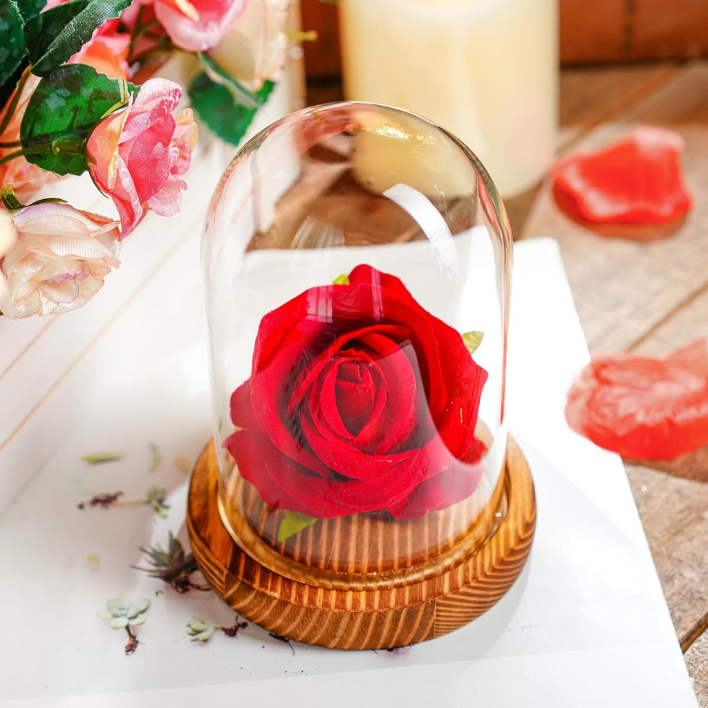 ZEERSHEE 4.1" x 3.2" Small Glass Display Cloche Dome with Solid Wood Base Empty for Plants Keepsakes Collectibles