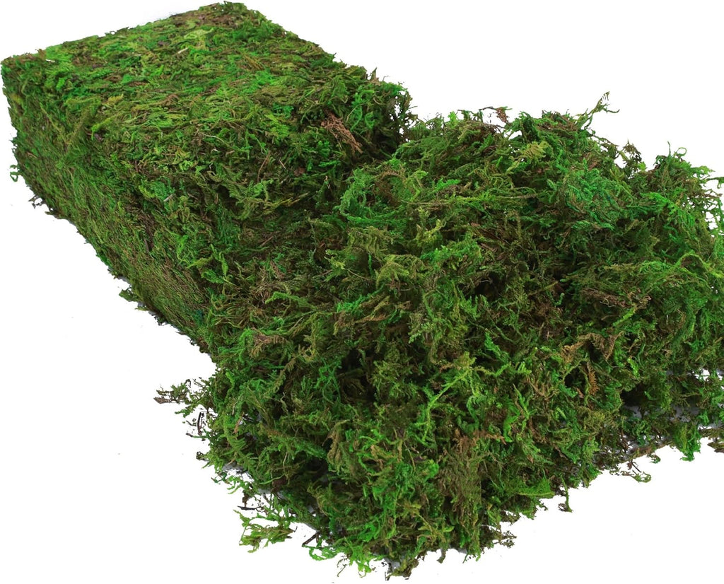 BYHER Fake Moss for Plants Indoor, 16OZ Green Moss for Crafts, Artificial Moss for Faux Plant Fairy Garden Table Centerpieces Wedding Decor,1LBS Fresh Green Craft Moss