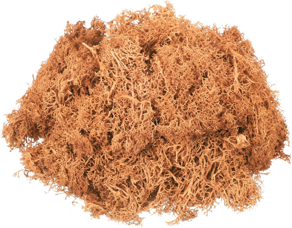 MECCANIXITY 3oz Preserved Reindeer Moss, Orange Decorative Artificial Fake Moss for Potted Plants Indoor Crafts Lichen Centerpieces Decor