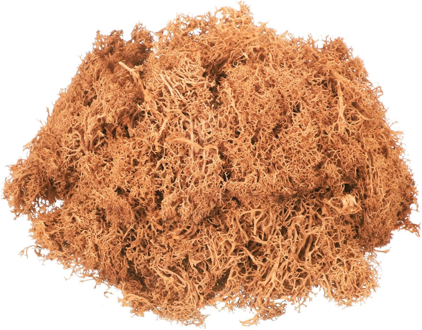 MECCANIXITY 4.6oz Preserved Reindeer Moss, Orange Decorative Artificial Fake Moss for Potted Plants Indoor Crafts Lichen Centerpieces Decor
