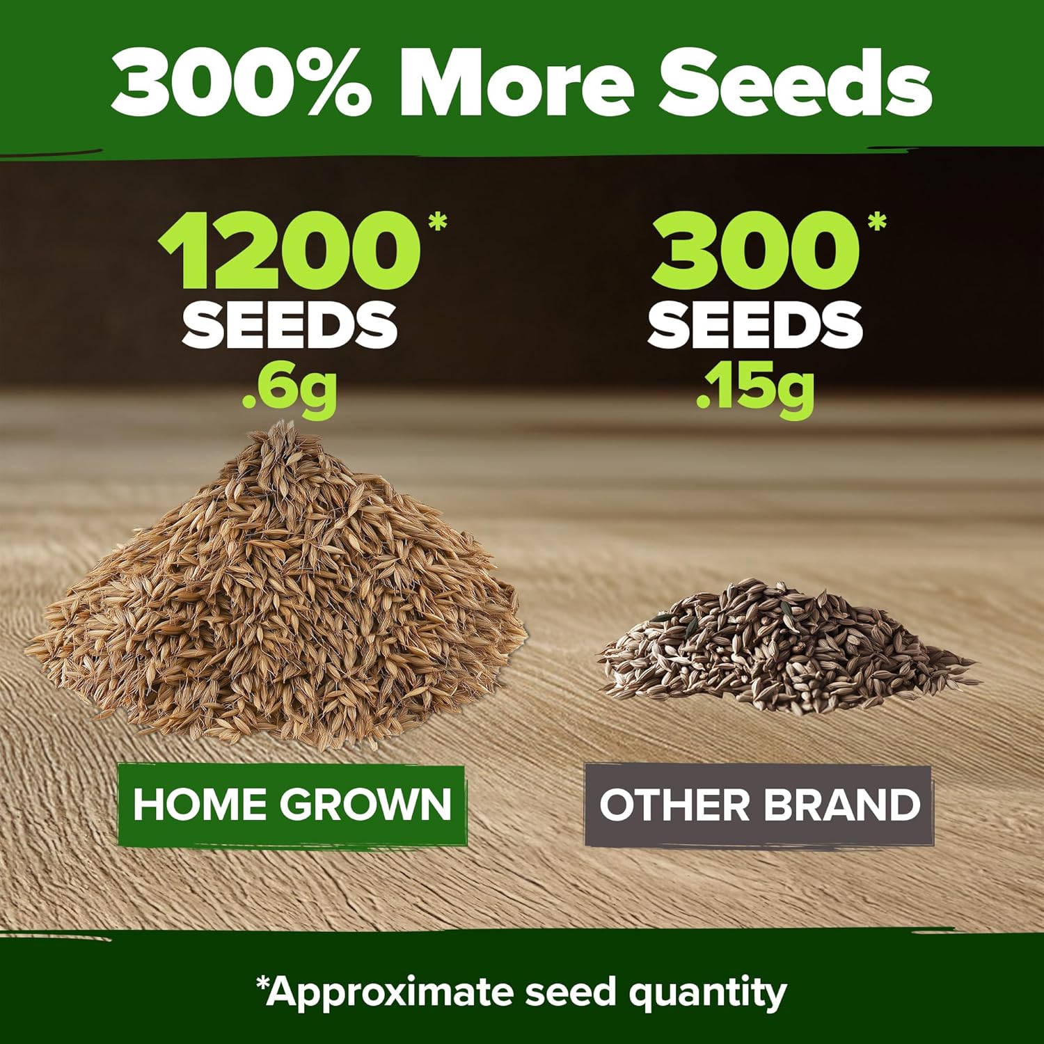 HOME GROWN Dandelion Seeds for Planting – 1200 Heirloom Medicinal Herb Seeds Grow Edible Leaves and Flowers for Remedies or Wildlife (Taraxacum officinale)