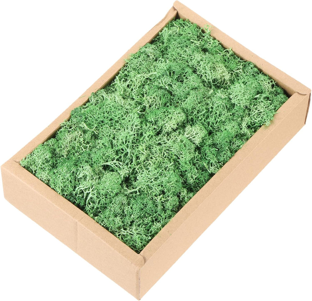 MECCANIXITY 7.8oz Preserved Reindeer Moss, Green Decorative Artificial Fake Moss for Potted Plants Indoor Crafts Lichen Centerpieces Decor