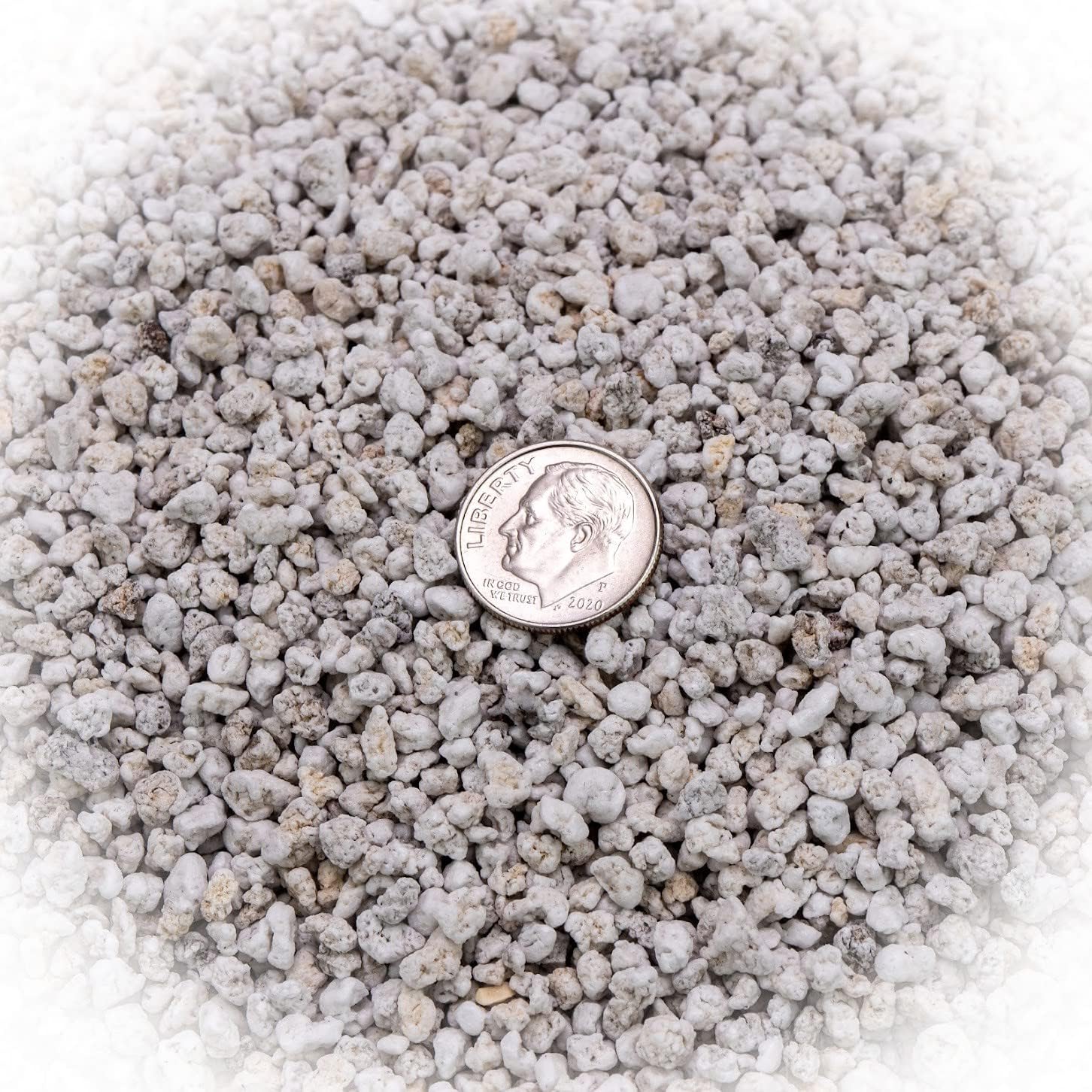 Premium Organic Perlite - (Made in Ukraine) Horticultural Soil Amendment for Indoor & Outdoor Container Plants for Drainage Management and Enhanced Growth - 1 Quart