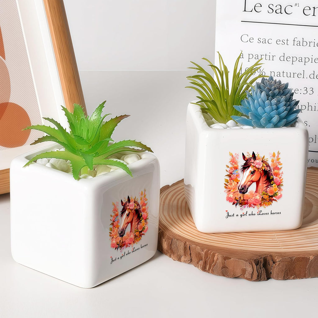 Horse Succulent Planter Flower Plant Pot Small, Gifts for Women Teens Girls Kids, Horse Lovers Themed Stuff Accessories Things Decor Merch, Home Office Table Desk Decoration!