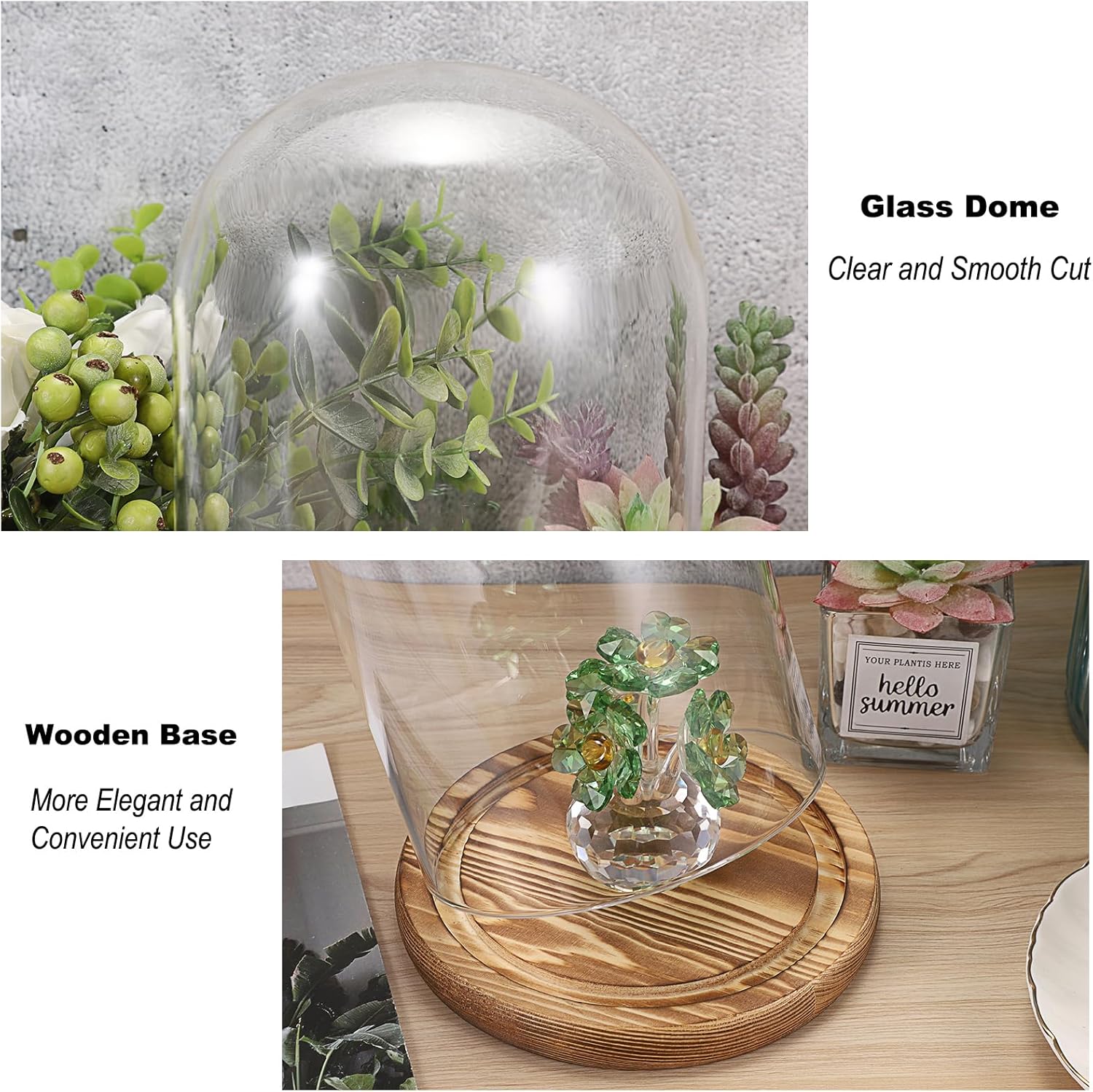 JUXYES Pack of 2 Glass Display Dome Cloche with Solid Wood Base, Clear Dome Bell Terrarium Jar Glass Cloche Bell Jar Display for Plants Collectible Figure