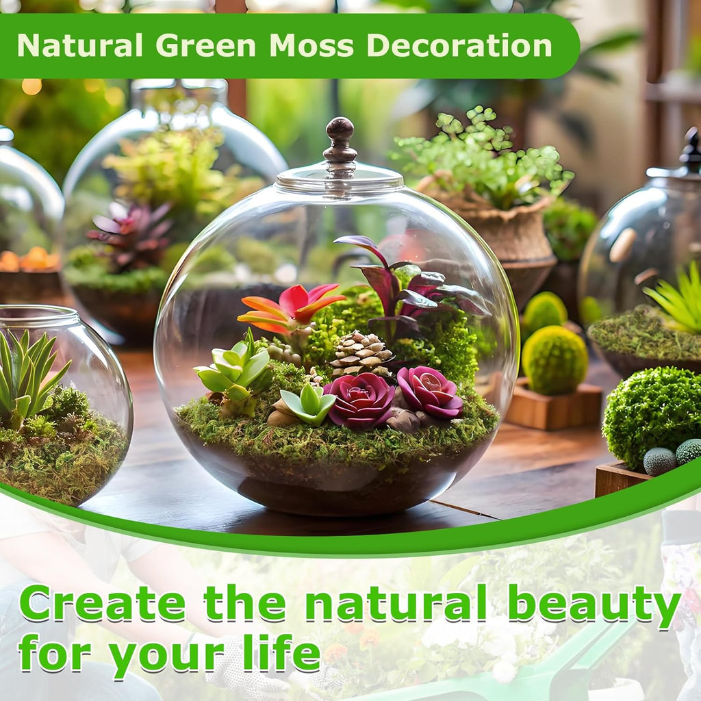 Legigo 3.5 OZ Green Moss for Crafts, Real Forest Moss for Plants Indoor, Table Decorative Centerpieces, Artificial Fairy Garden, Wedding Party Decor, Fake Potted Plants and DIY Craft Projects