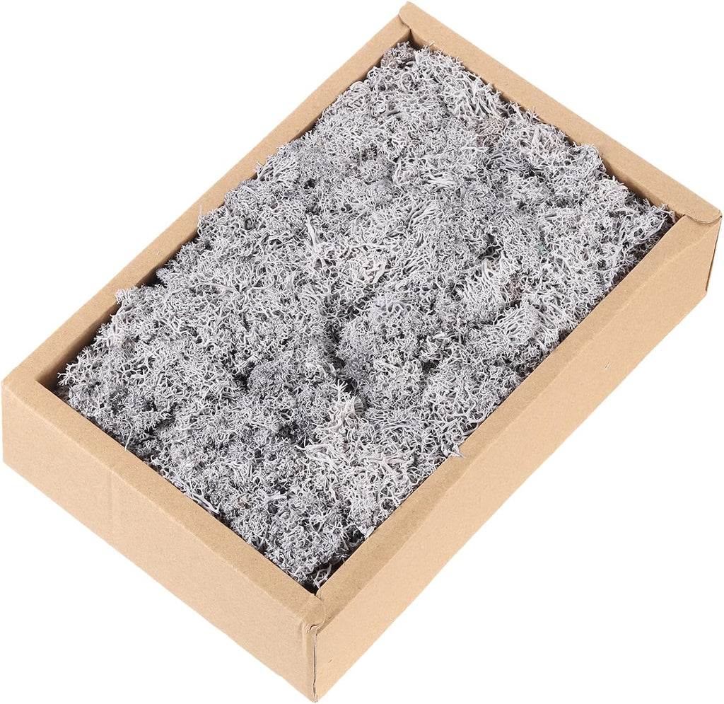 MECCANIXITY 7.8oz Preserved Reindeer Moss, Light Grey Decorative Artificial Fake Moss for Potted Plants Indoor Crafts Lichen Centerpieces Decor
