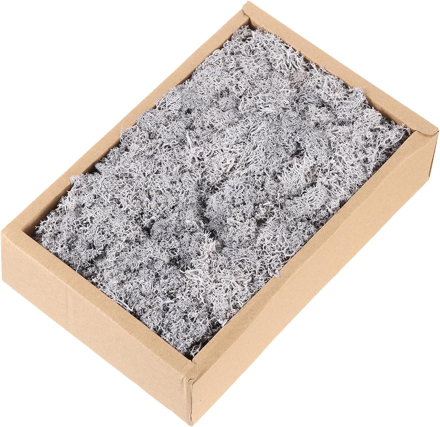 MECCANIXITY 7.8oz Preserved Reindeer Moss, Light Grey Decorative Artificial Fake Moss for Potted Plants Indoor Crafts Lichen Centerpieces Decor