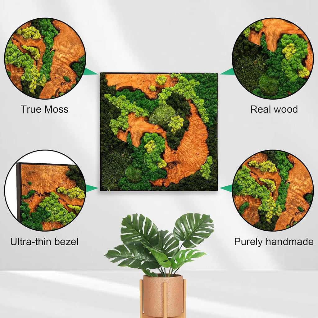 vadmepiop Natural Preserved Moss Wall Art with Real Wood Frame, Handcrafted Maintenance-Free Moss Wall Panel for Home Decor, Office, Restaurant, Bar & Cafe (Square, 11.81in)