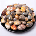 Polished Crazy Lace Agate Crystal Stone Set - 72 Pcs, 0.5" 10 oz Handpicked Natural Tumbled Gemstones Rocks, Pebbles for Reiki, Chakra, Healing, Home Decor
