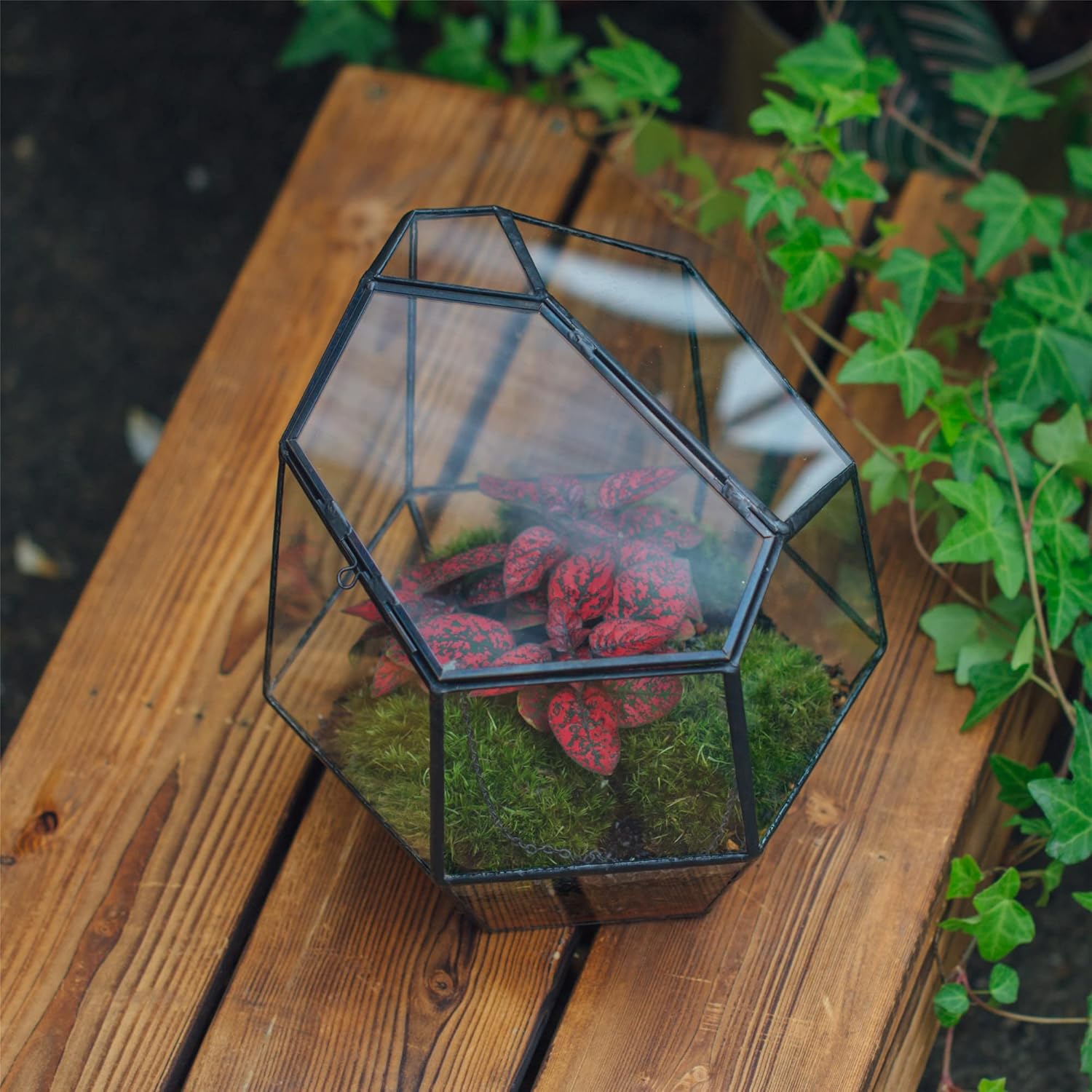 NCYP Handmade 7.5inches Small Close Geometric Terrarium with Door, Black Irregular Glass Planter, Modern Succulent Cacti Flower Pot, Home Garden Decor DIY Gift (Plants and Props NOT Included)