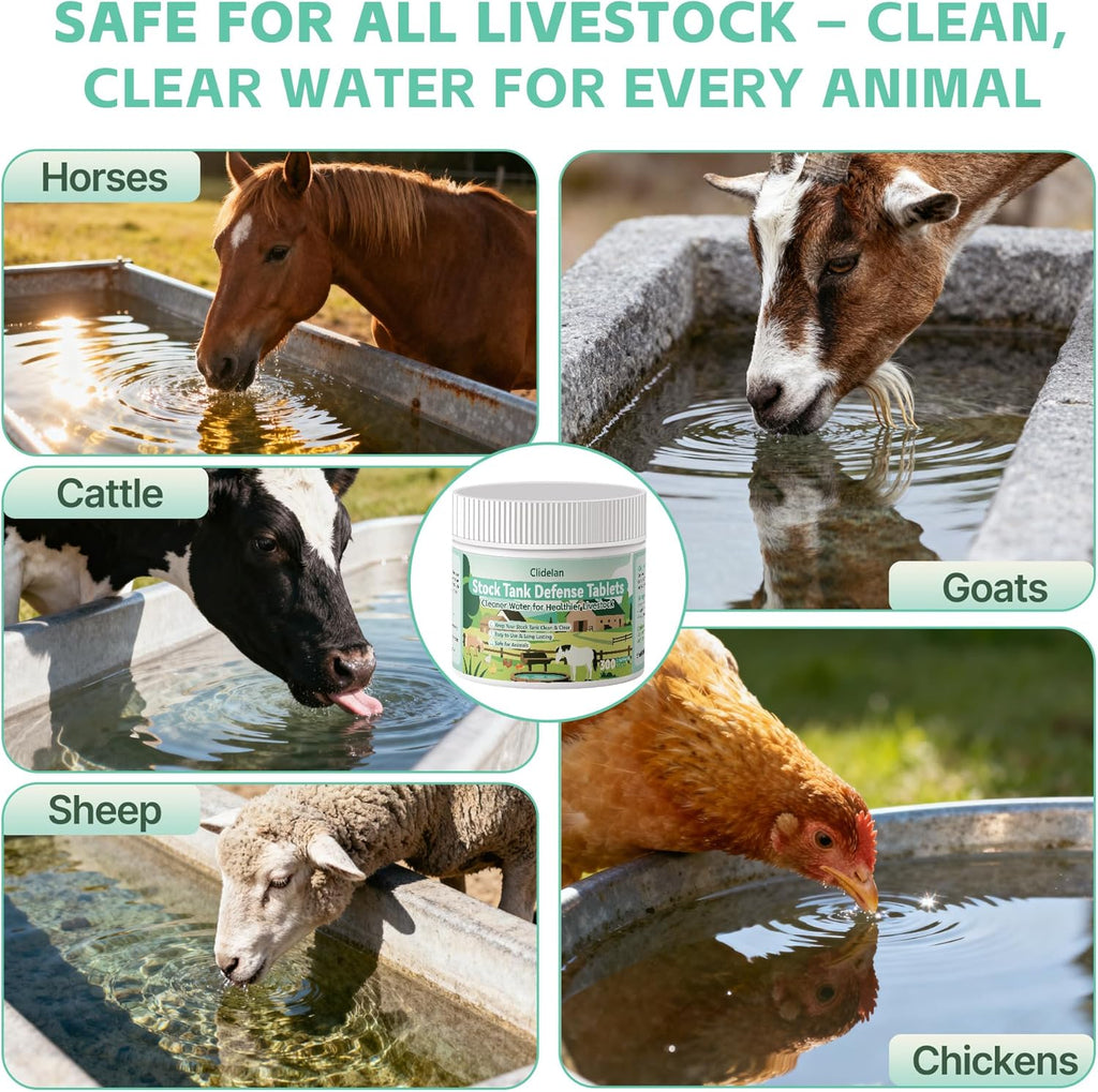 Stock Tank Defense Tablets–Stock Tank Clarifier for Livestock Water Troughs–Dissolves Sludge, Cleans Drinking Tanks, Improves Water Quality–Safe & Easy for Horses, Cattle, Goats & Chickens, 300Count