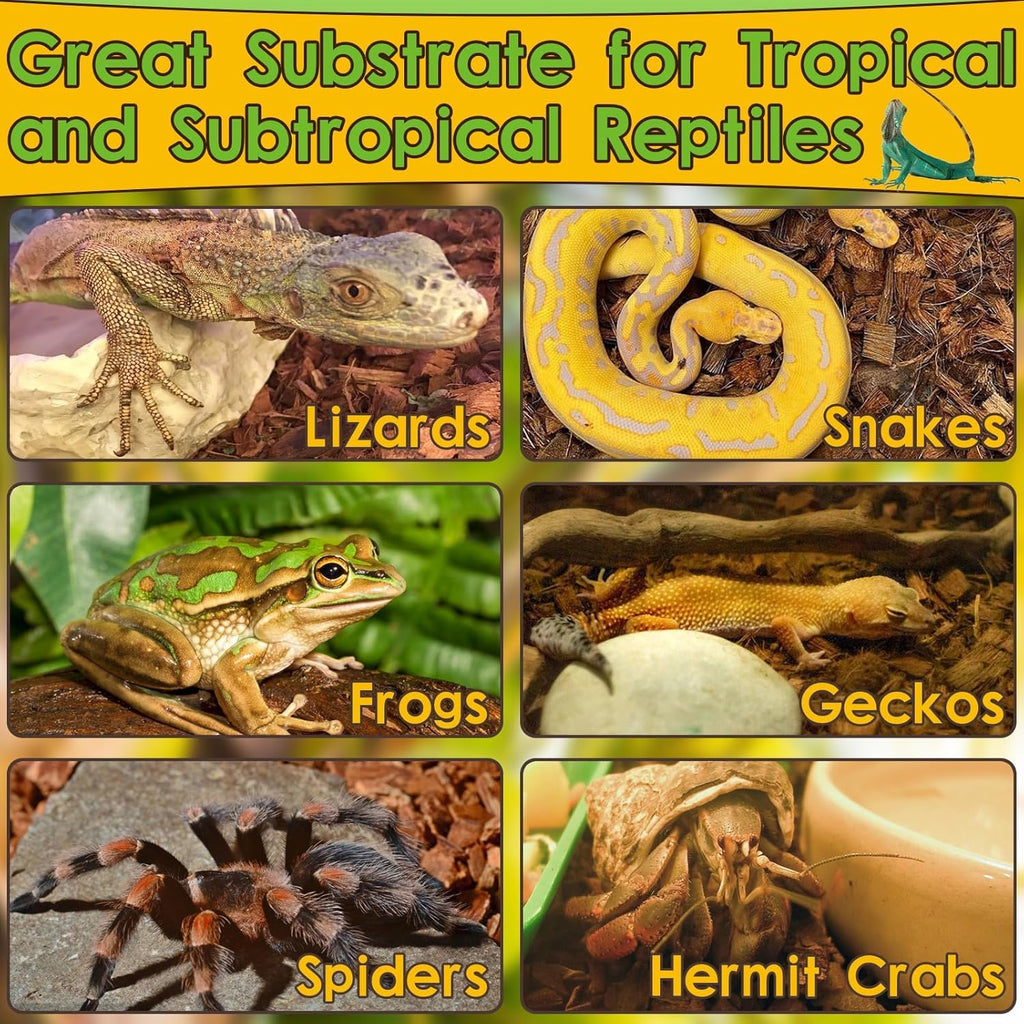 Halatool 6Pack Compressed Coconut Chips Brick Natural Coconut Husk for Reptiles Bedding Coco Coir Chips Terrarium Substrate for Ball Python Frog Snake Gecko Hermit Crab Tortoise