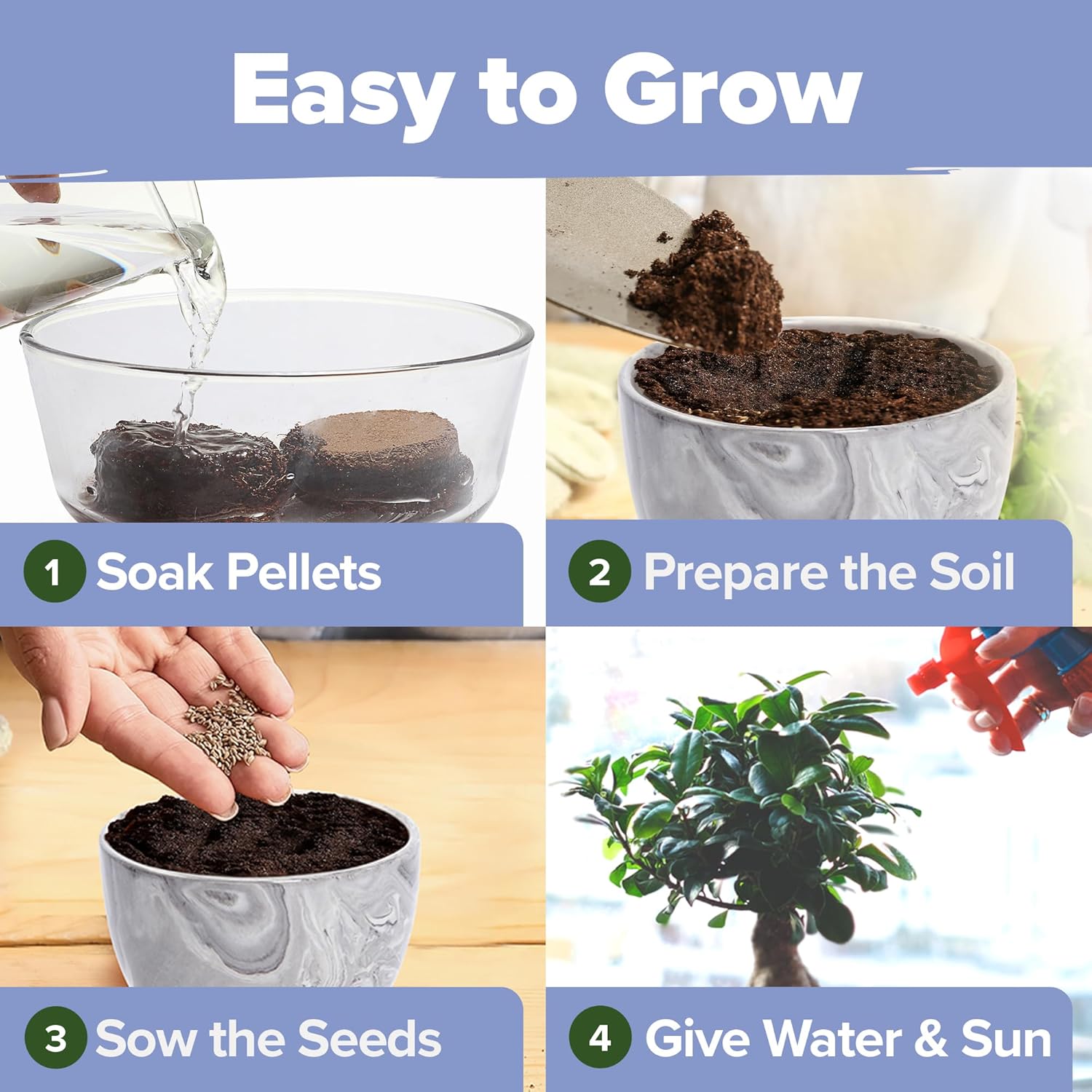 HOME GROWN Bonsai Tree Kit – Premium Ceramic Starter Set with 4 Bonsai Varieties – Easy Indoor Gardening Gift for Men & Women – Unique Plant Kit for Beginners & Nature Lovers