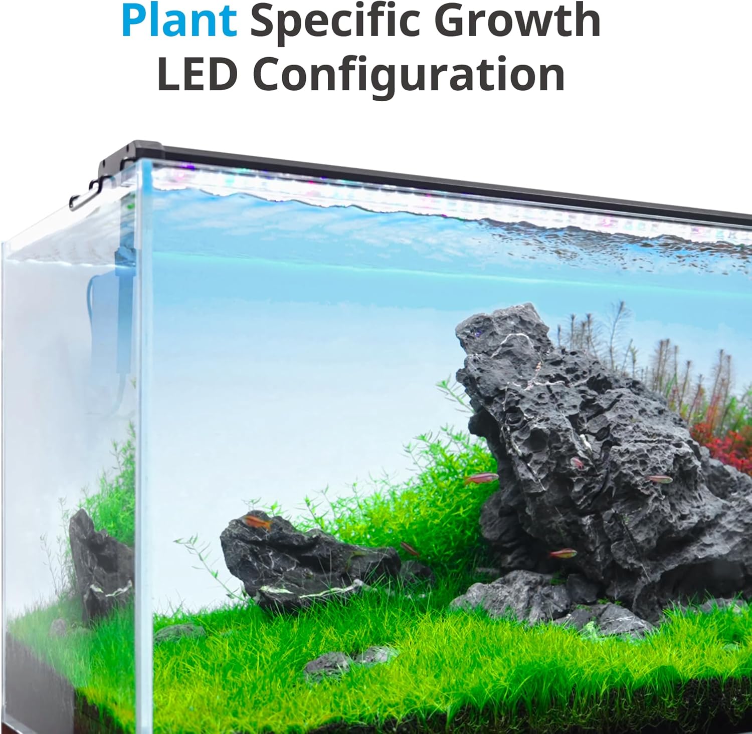 NICREW ClassicLED Plus LED Aquarium Light with Timer, 15 Watts, for 18 to 24 Inch Fish Tank Light, Daylight and Moonlight Cycle, Brightness Adjustable