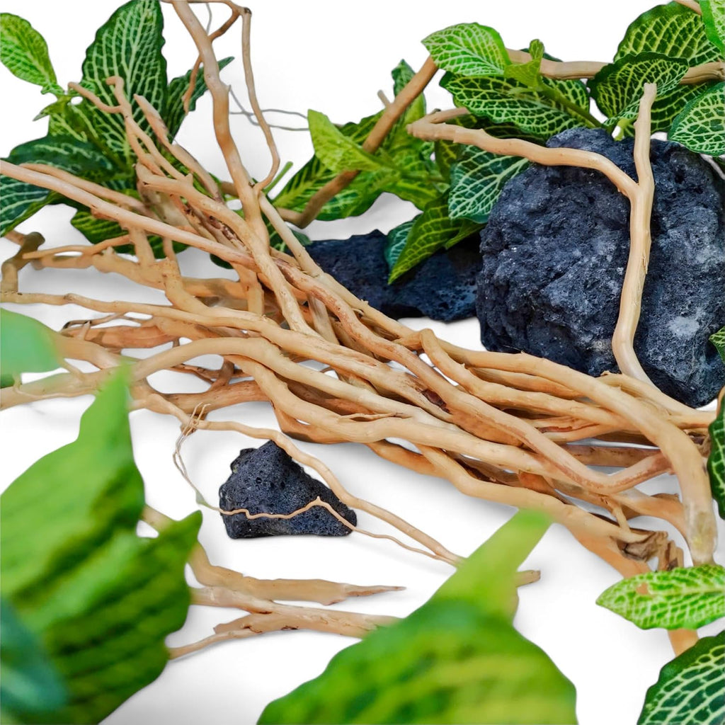 Azil Natural Aquarium Driftwood Root – Driftwood for Aquarium Decor, 250g (10″–15''), Fish Tanks, Terrariums, Aquascaping & Planted Tanks