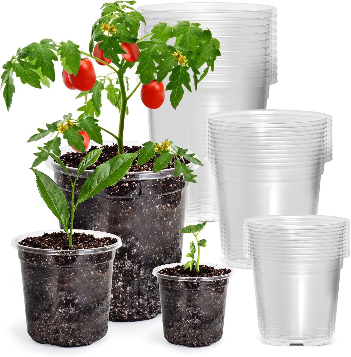 30 Packs 6.7/5/4 Inch Reinforced Clear Nursery Pots with Drainage Hole, Transparent Variety Pack Plastic Plant Pot Seedling Planter for Vegetable Propagation, Root Cutting, Seed Starting
