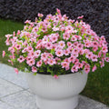 Pink Artificial Outdoor Flowers 12 Bundles Vibrant Wild Flowers Silk Daisy Faux Floral Plants Arrangements for Porch, Yard, or Flower Bed Decor (Pink Daisy)