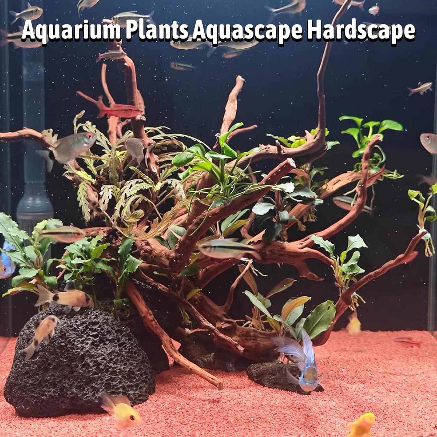 kathson Natural Driftwood for Aquarium, Red Moor Driftwood Mix 12''-16'' Long Driftwood for Decorations Aquarium Driftwood Assorted Shapes Natural Aquarium Decor Driftwood (500g, Coarse Branches)