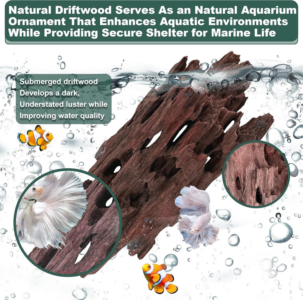 Natural Wood Driftwood for Aquarium Fish Tank Decor,Assorted Driftwood Trunk Branch for Reptile Tank Decor (SHP-XM Driftwood (12 to15 Inch)-Pack of 1)
