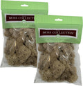 Quality Growers - Preserved Reindeer Moss - Moss for Crafts, Home Decor, Art, Design & DIY Projects - Non-Toxic - USA Made (Natiural, Small, 2-Pack)