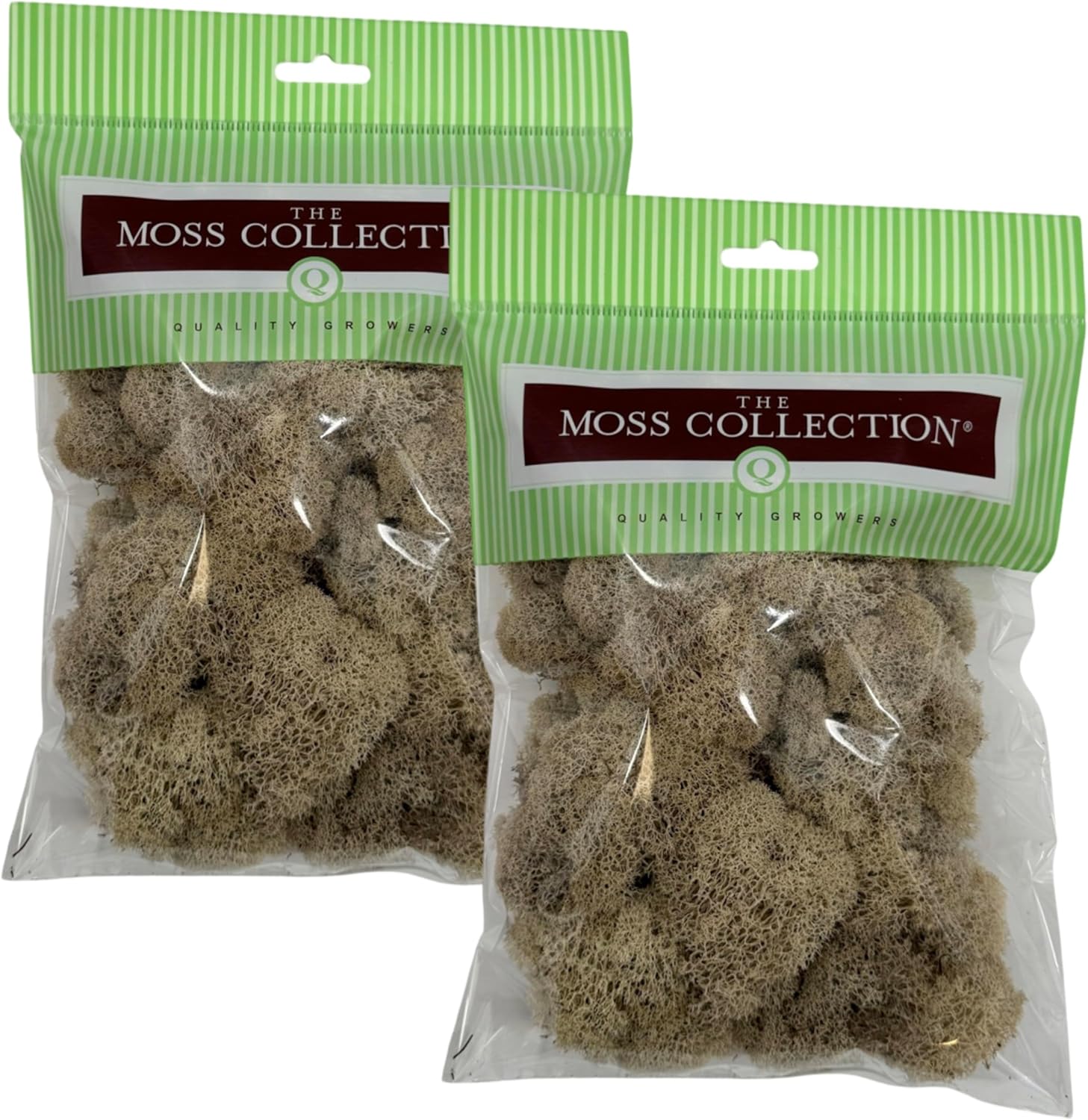 Quality Growers - Preserved Reindeer Moss - Moss for Crafts, Home Decor, Art, Design & DIY Projects - Non-Toxic - USA Made (Natiural, Small, 2-Pack)