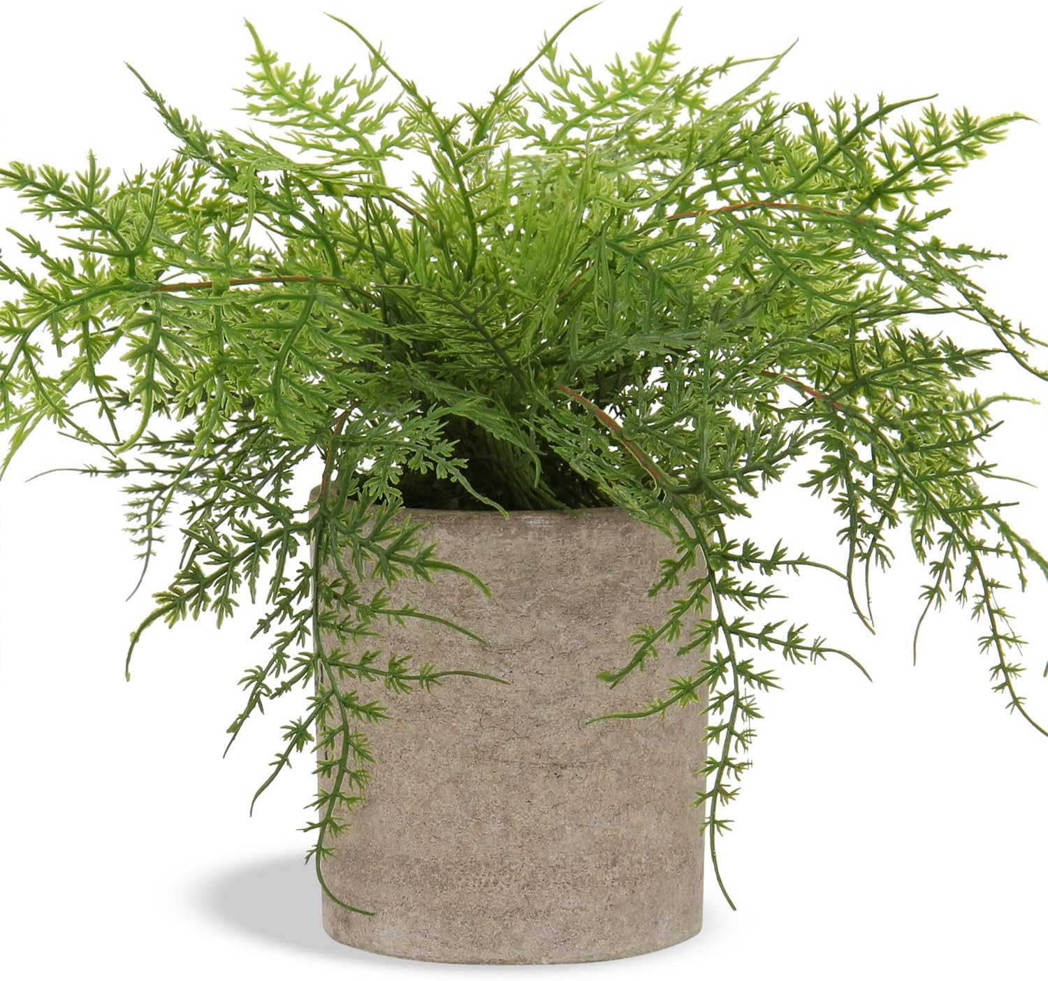 Hollyone Small Fake Plant Potted Plants Artificial Decor Silk Ferns Plant Faux Plants in Pots for Home Living Room Bedroom Desk Bathroom Window Shelf Farmhouse Decoration