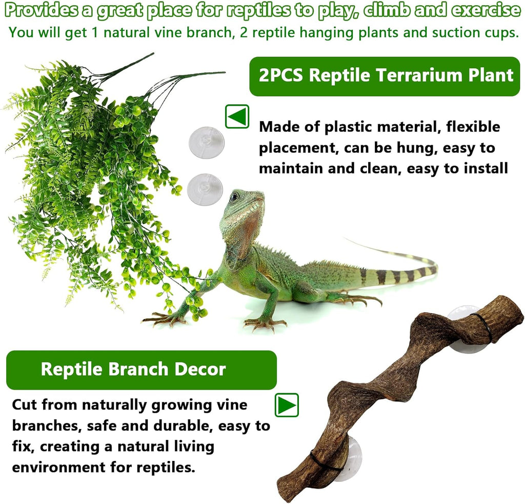kathson Reptile Corner Branch & Hanging Plants Decor, Bearded Dragons Climbing Vine Branches,Tank Climb Branch with Terrarium Plant Accessories Ornament for Amphibians, Lizards, Snakes, Geckos, Frogs