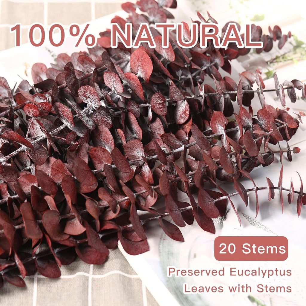 20 Pcs Dried Eucalyptus Stems, 17'' Natural Real Live Red Eucalyptus Leaves Branches Hanging Shower, Preserved Dried Plants for SPA Home Fragrance Bathroom Table Vase Decor
