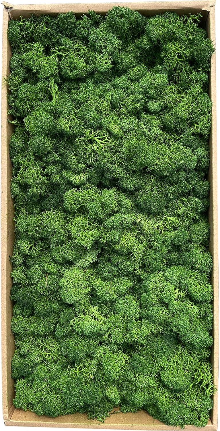 Preserved Moss 1.1lb Artificial Moss for Potted Plants Natural Fresh Green Moss for Crafts Fake Moss Arts Floral Orchid Moss Wall Decor Wedding Centerpieces Garden Terrariums Christmas Decoration